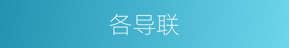 各导联的同义词