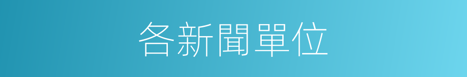 各新聞單位的同義詞