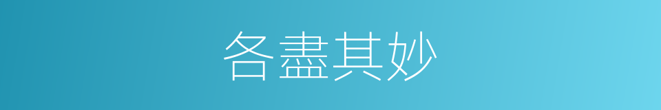 各盡其妙的同義詞