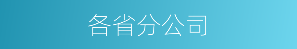 各省分公司的同义词