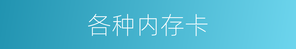 各种内存卡的同义词