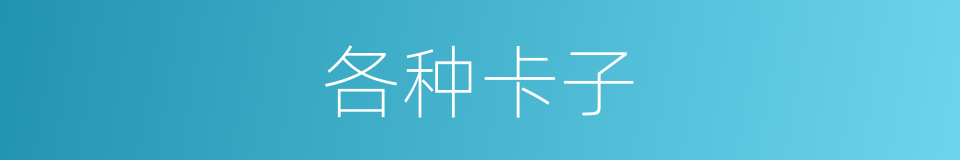 各种卡子的同义词