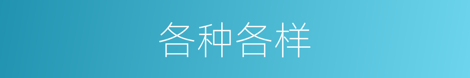 各种各样的意思