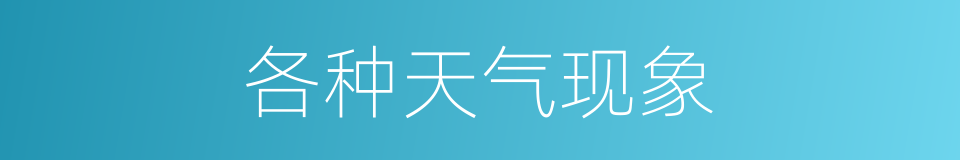 各种天气现象的同义词
