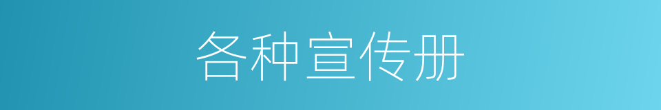 各种宣传册的同义词