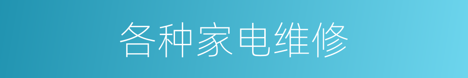 各种家电维修的同义词