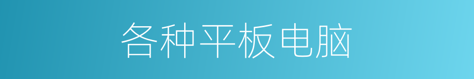 各种平板电脑的同义词