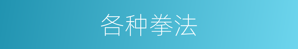 各种拳法的同义词
