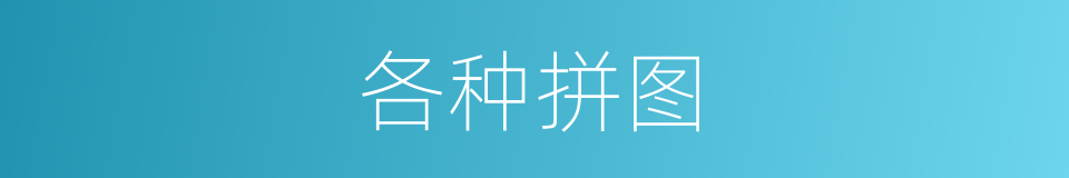 各种拼图的同义词