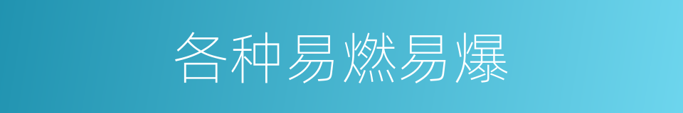 各种易燃易爆的同义词