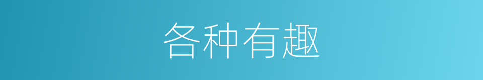 各种有趣的意思