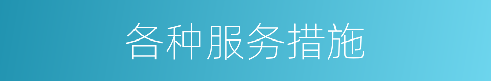 各种服务措施的同义词