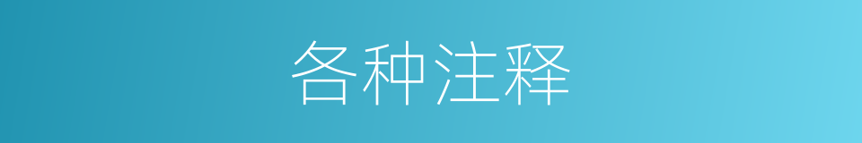 各种注释的意思