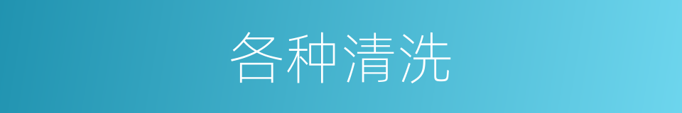 各种清洗的同义词