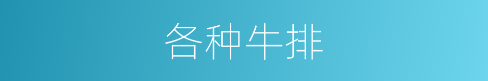 各种牛排的同义词
