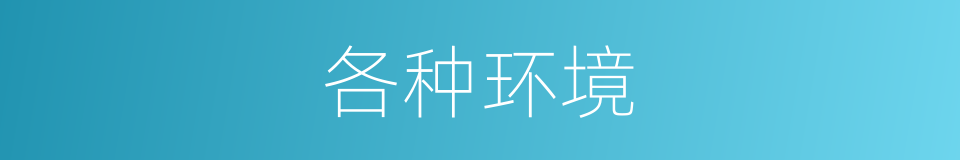 各种环境的同义词
