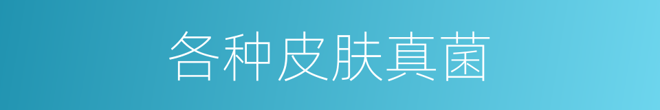 各种皮肤真菌的同义词
