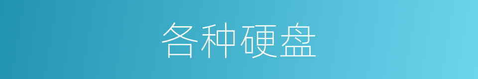 各种硬盘的同义词