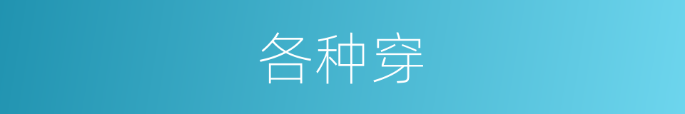 各种穿的同义词