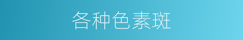 各种色素斑的同义词