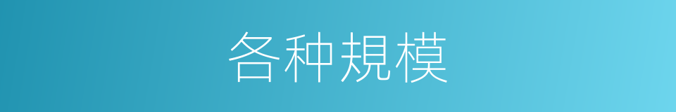 各种規模的同義詞