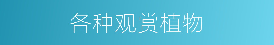 各种观赏植物的同义词