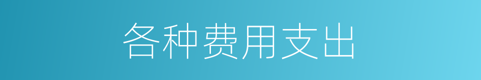 各种费用支出的同义词