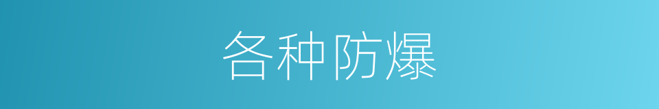各种防爆的同义词