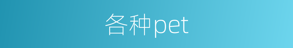 各种pet的同义词