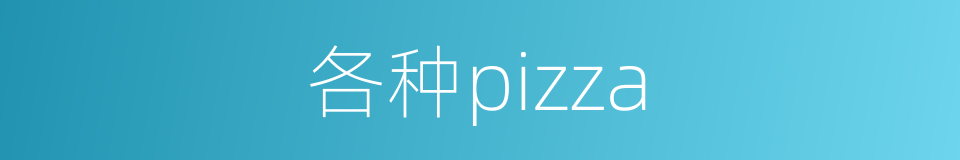 各种pizza的同义词