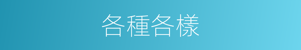 各種各樣的意思