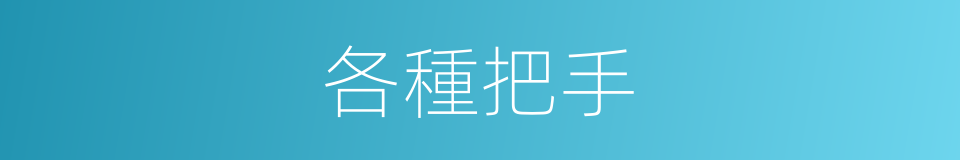 各種把手的意思