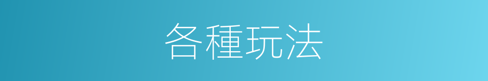 各種玩法的同義詞