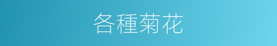 各種菊花的同義詞