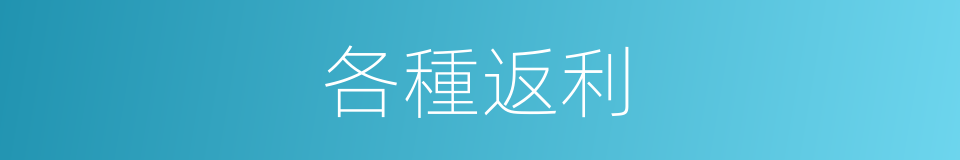 各種返利的同義詞