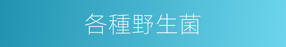 各種野生菌的同義詞