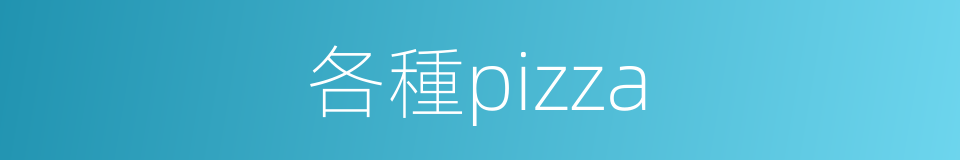 各種pizza的同義詞