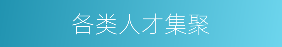 各类人才集聚的同义词