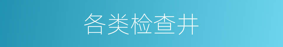 各类检查井的同义词