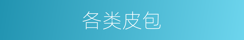 各类皮包的同义词