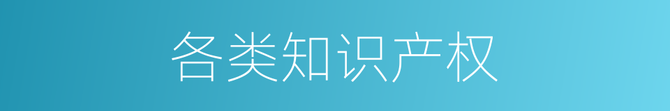 各类知识产权的同义词