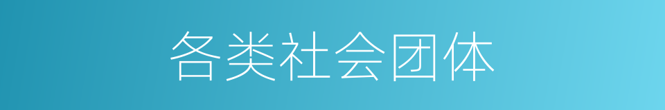 各类社会团体的同义词
