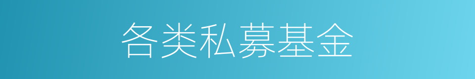 各类私募基金的同义词
