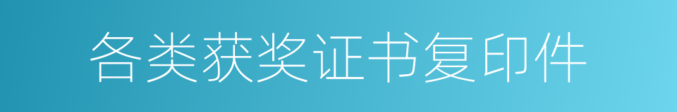 各类获奖证书复印件的同义词
