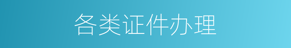 各类证件办理的同义词