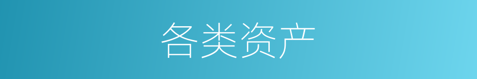 各类资产的同义词