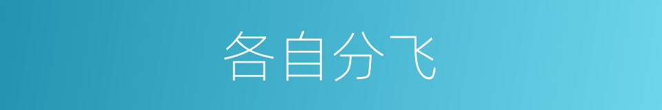 各自分飞的同义词