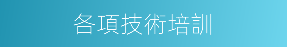 各項技術培訓的同義詞