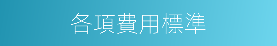 各項費用標準的同義詞