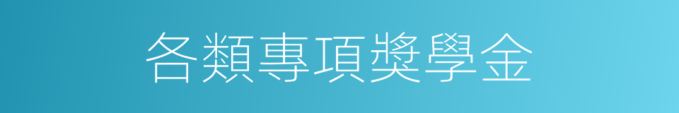 各類專項獎學金的同義詞
